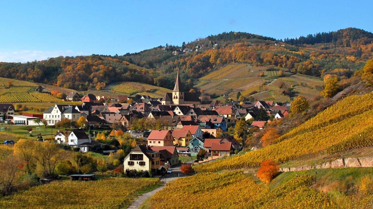 Hotel De L'Ange Niedermorschwihr Luaran gambar